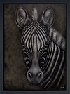 Just Curious (Framed)