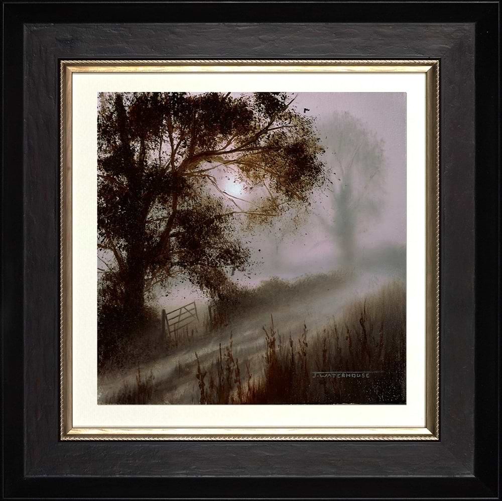 Enchanted Dawn