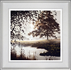 Roaming Free (Framed)
