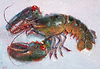 Lobster I