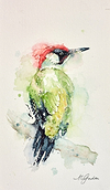 Green Beauty (Woodpecker)