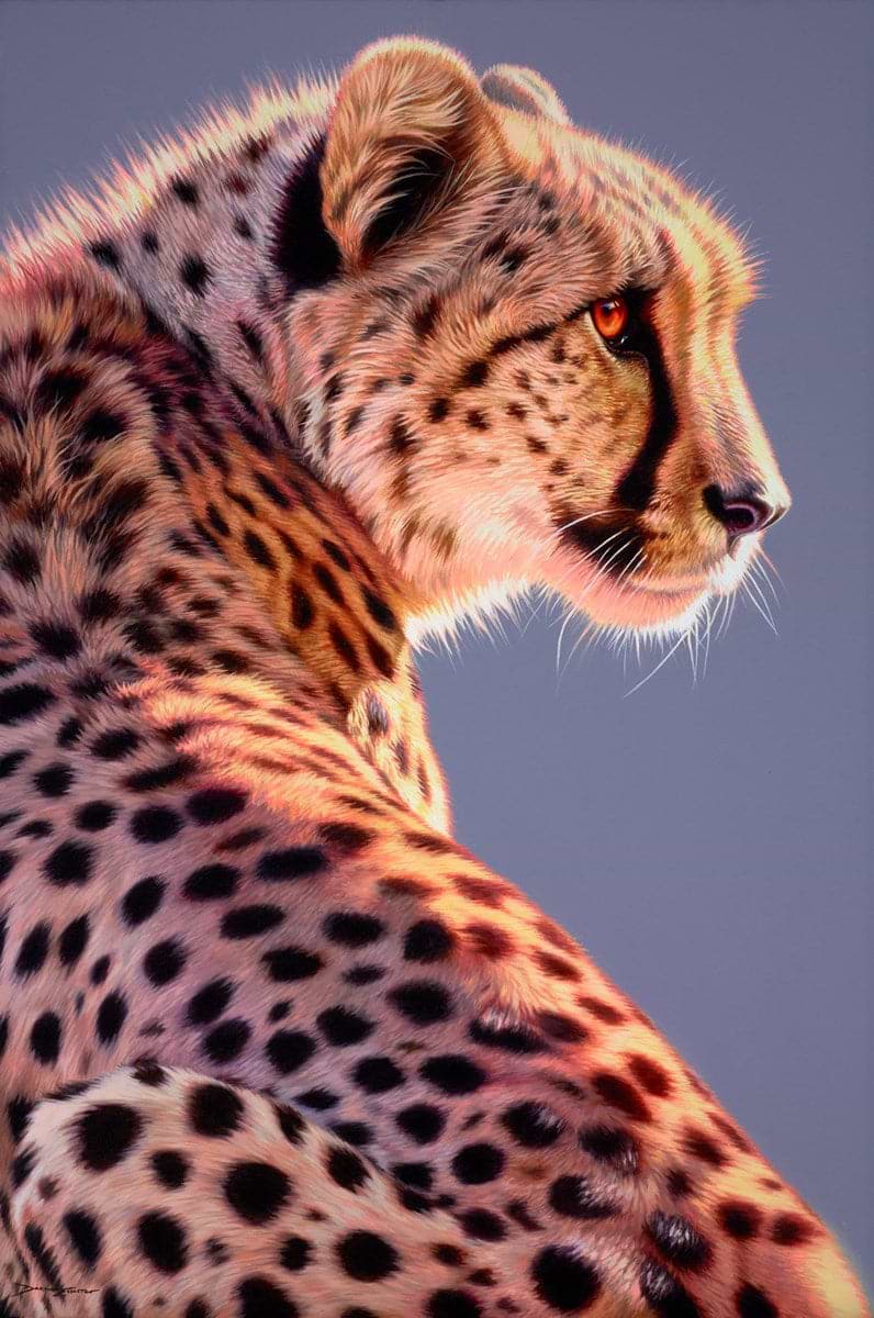 In The Limelight
