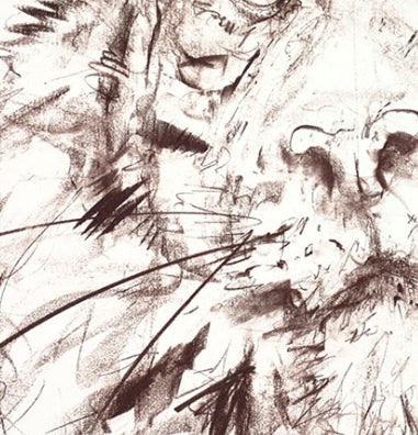 Tiger Study VI