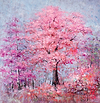 Blossom Dream