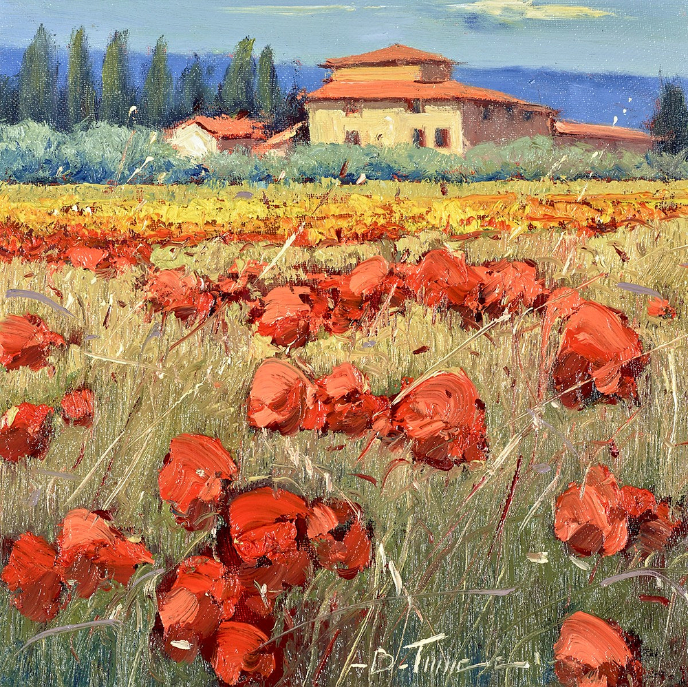 Papaveri Nel Campo