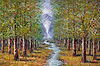 A Cool Forest Stream