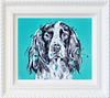 Springer Sparkle (Framed)
