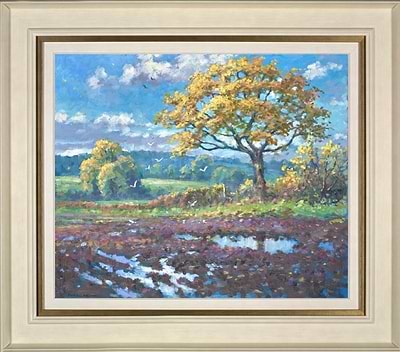 After the Rain (seagulls) (Framed)