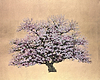 Eternal Beauty III