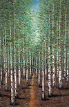 A Woodland Pathway III