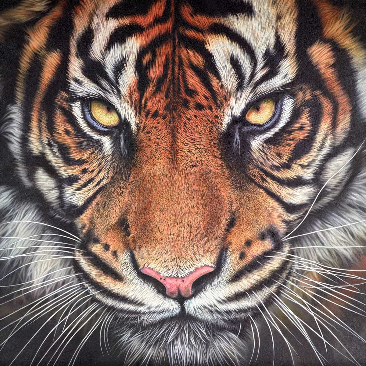 Tiger Demo