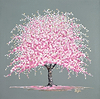 Apple Blossom