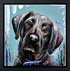 The Noble Profile (Framed)