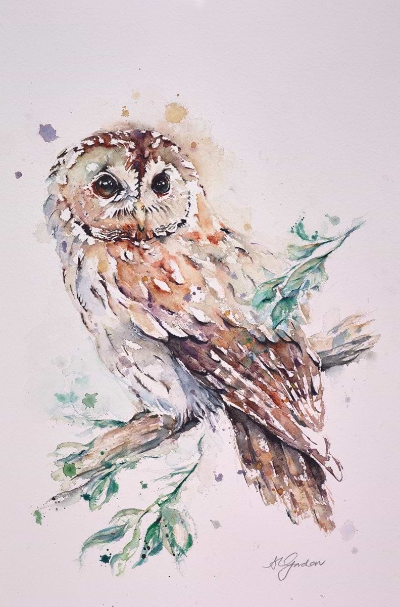 Resting Tawny