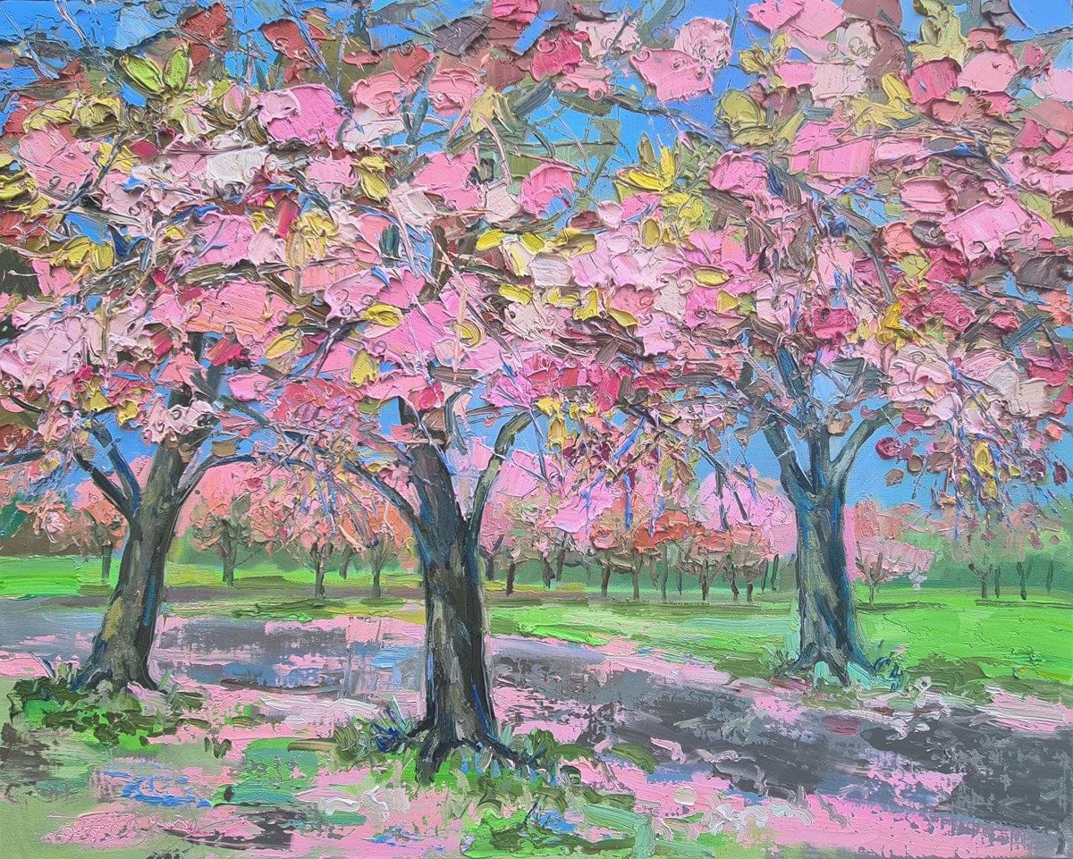 Sun On Cherry Blossom, The Meadows