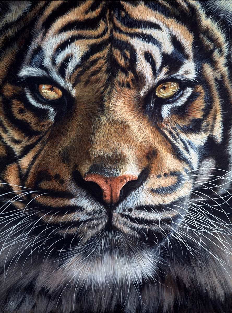 Eyes Of The Tiger