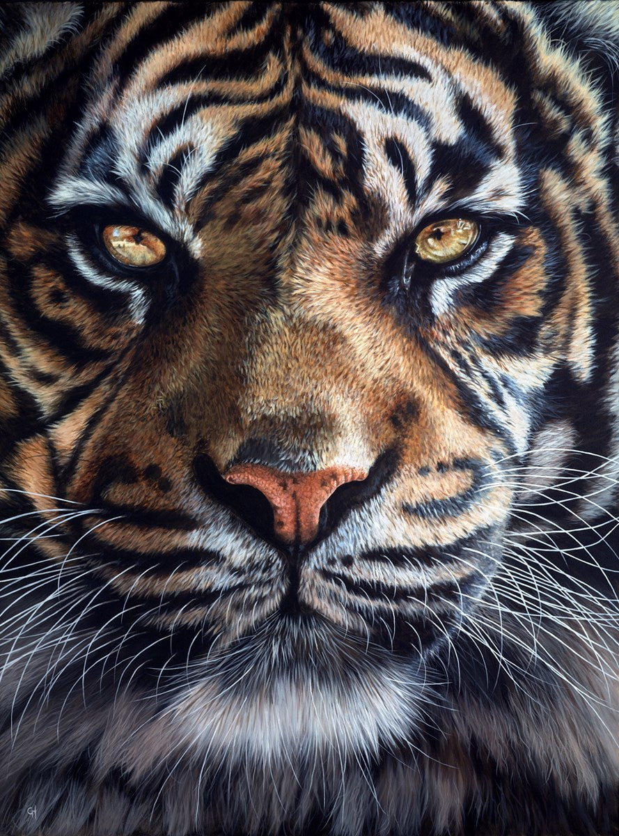 Eyes Of The Tiger