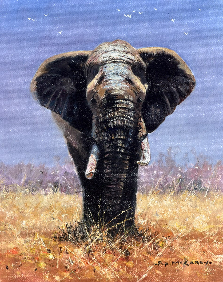 Mara Elephant