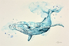 Ocean Dance of a Hump Back Whale