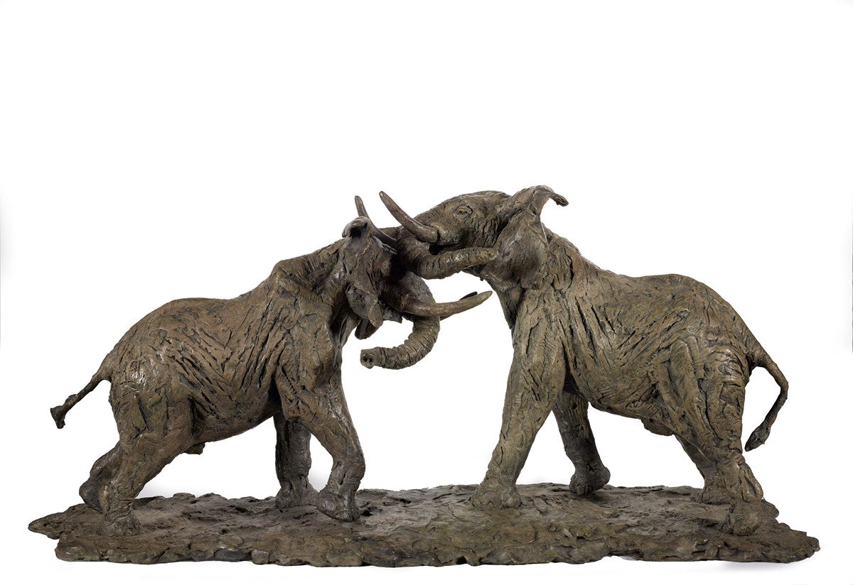 Bull Elephants Fighting - 2010