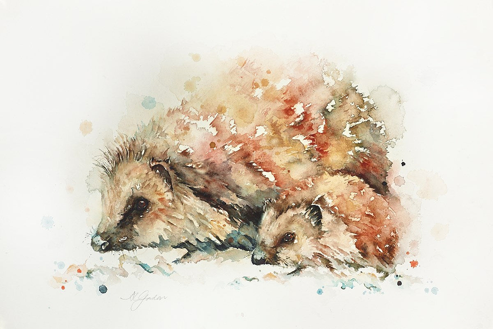 Setting Out- Hedgehog With Hoglet
