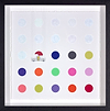 Scrubbed Out - Spots