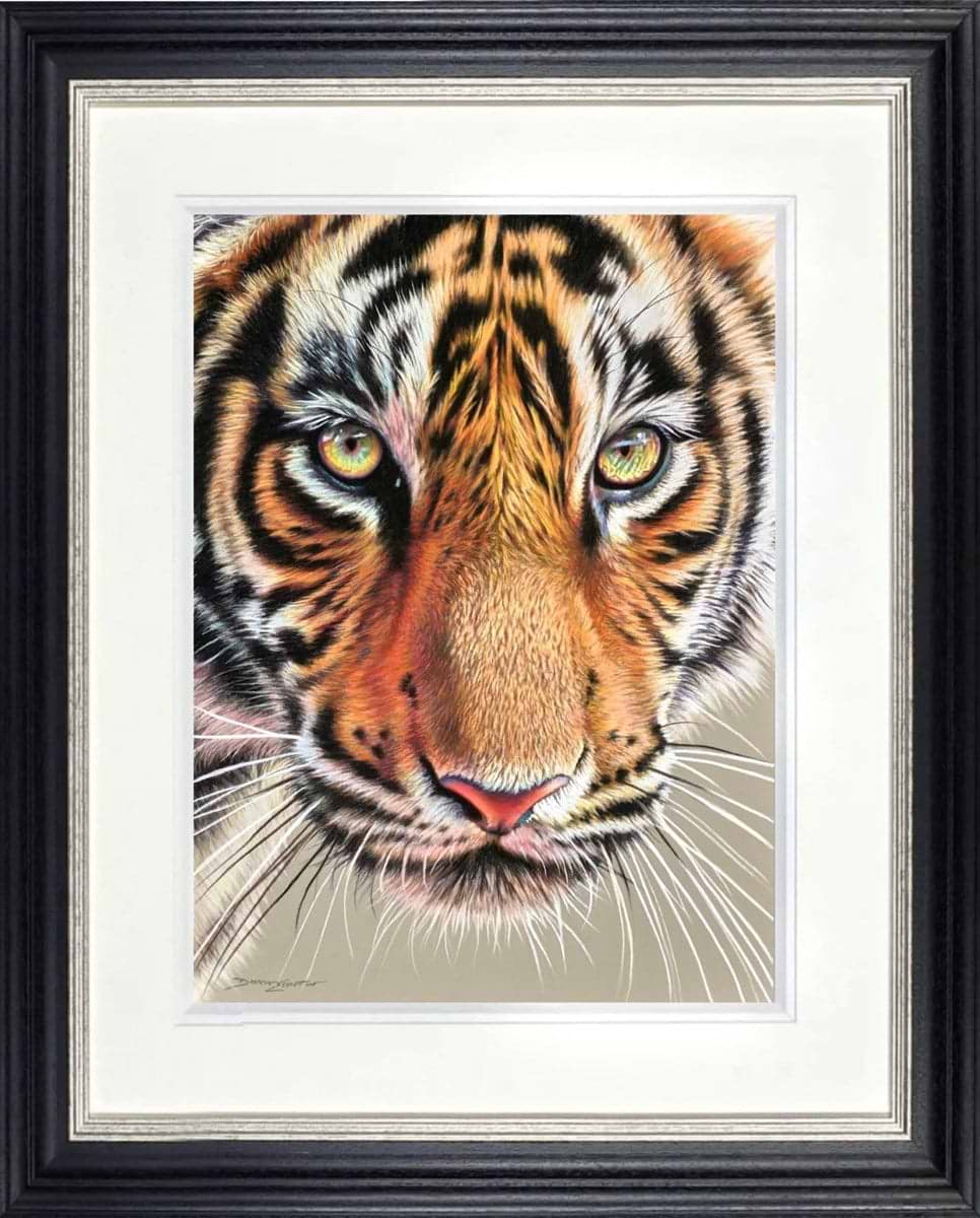 Tiger Eyes