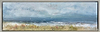 Summer's Arrival (Framed)