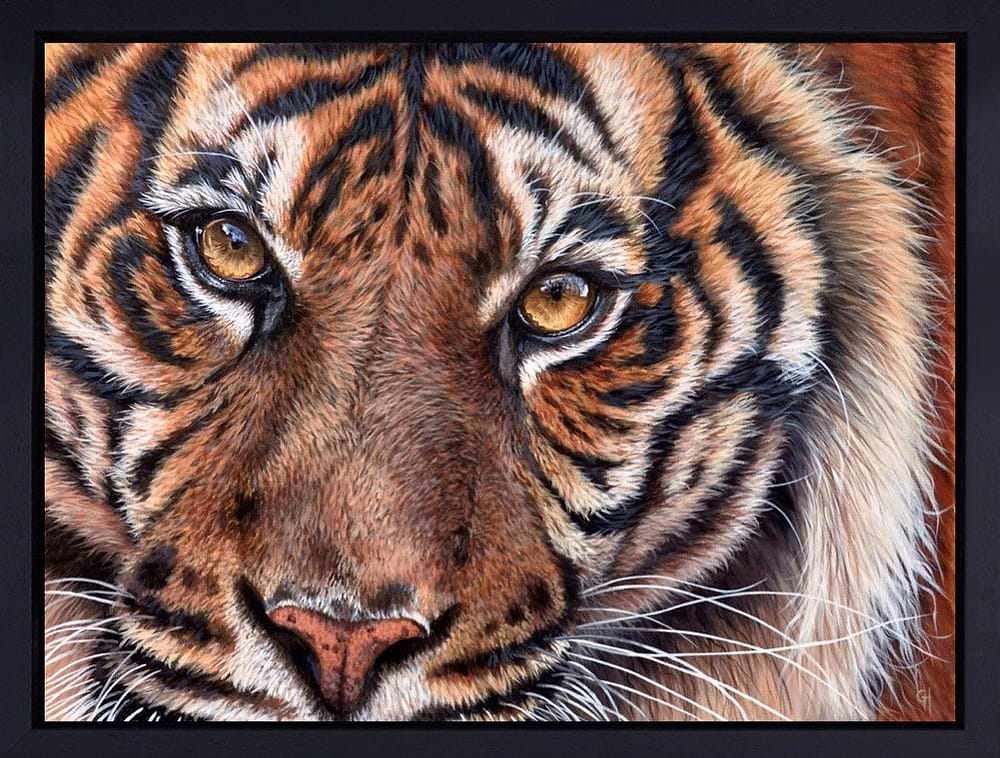 The Eyes Never Lie...