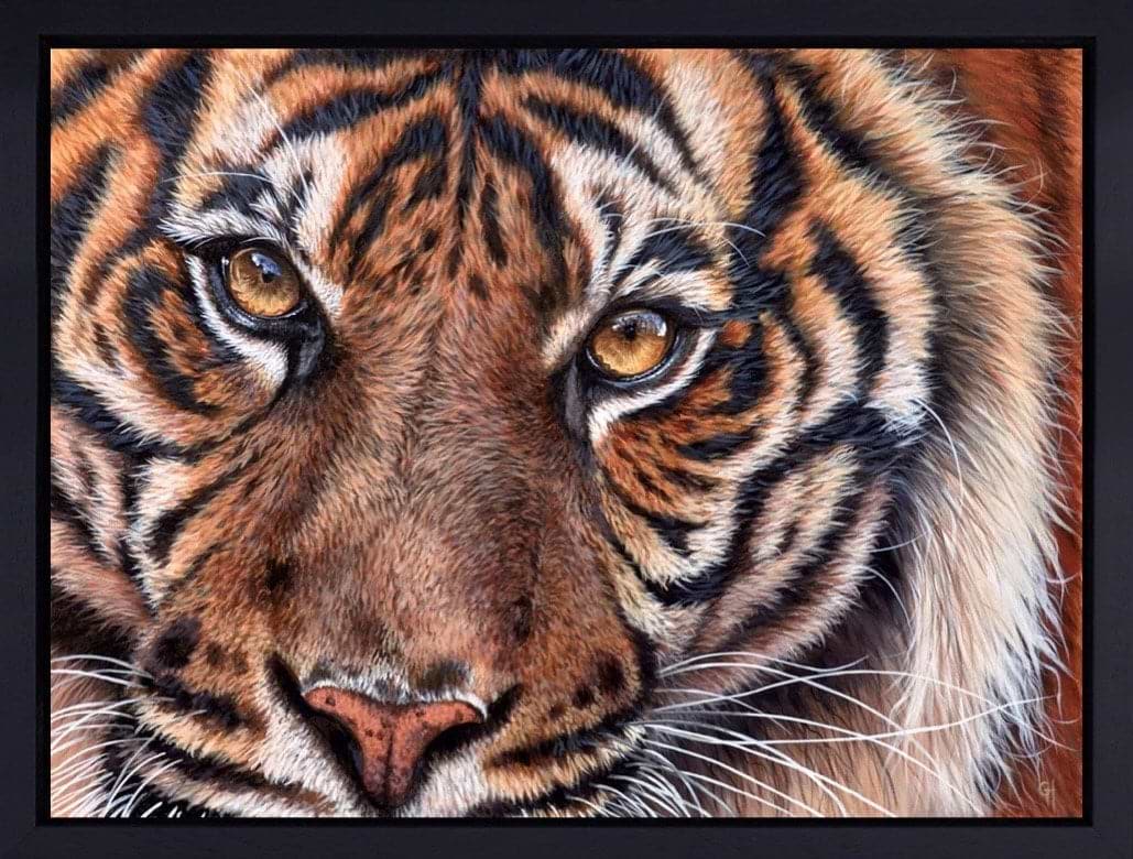 The Eyes Never Lie...