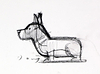 Garden Party Corgi Study