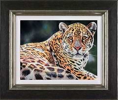Mr Cool (Jaguar) (Framed)