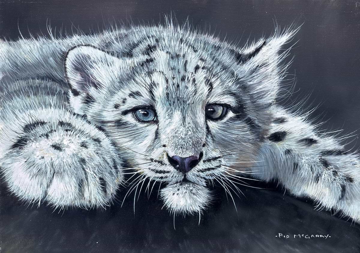 Snow Leopard Cub