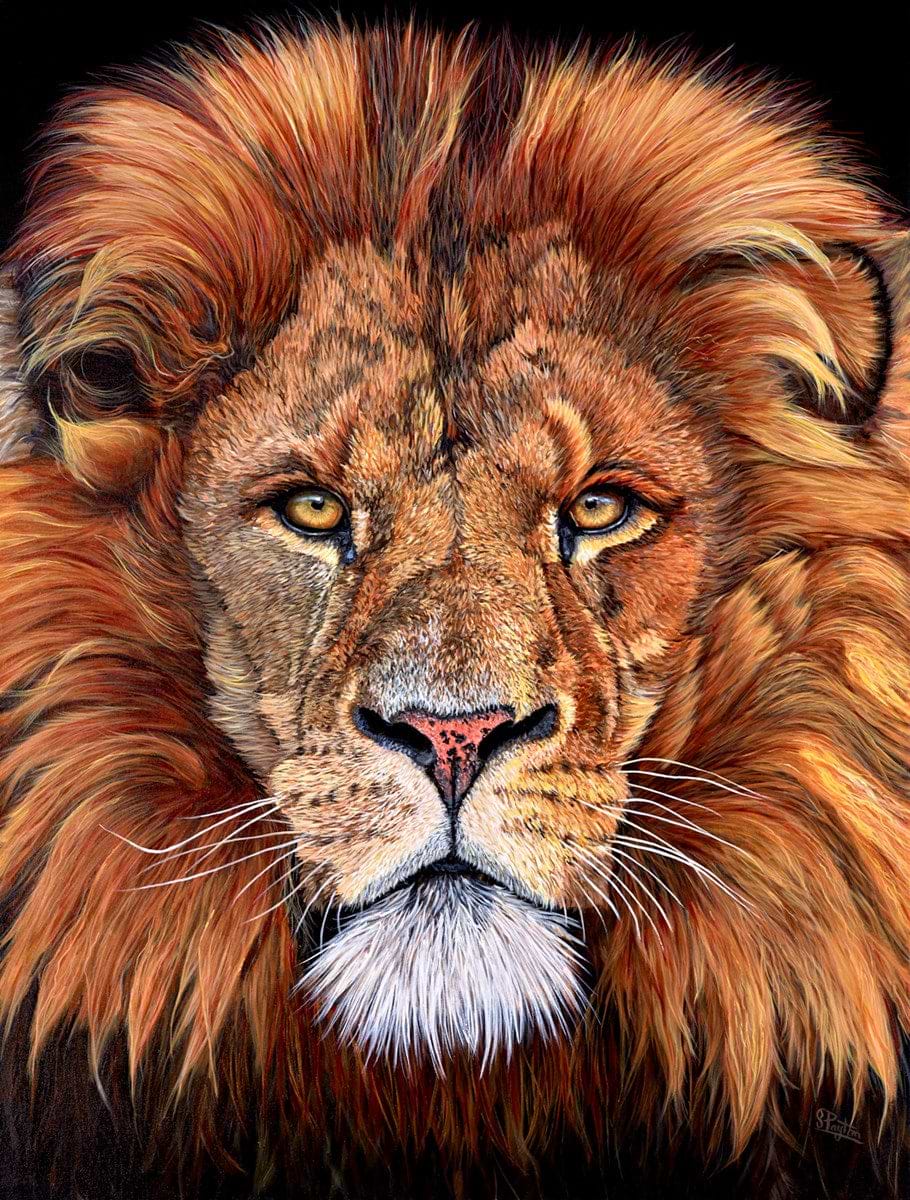 Resplendent