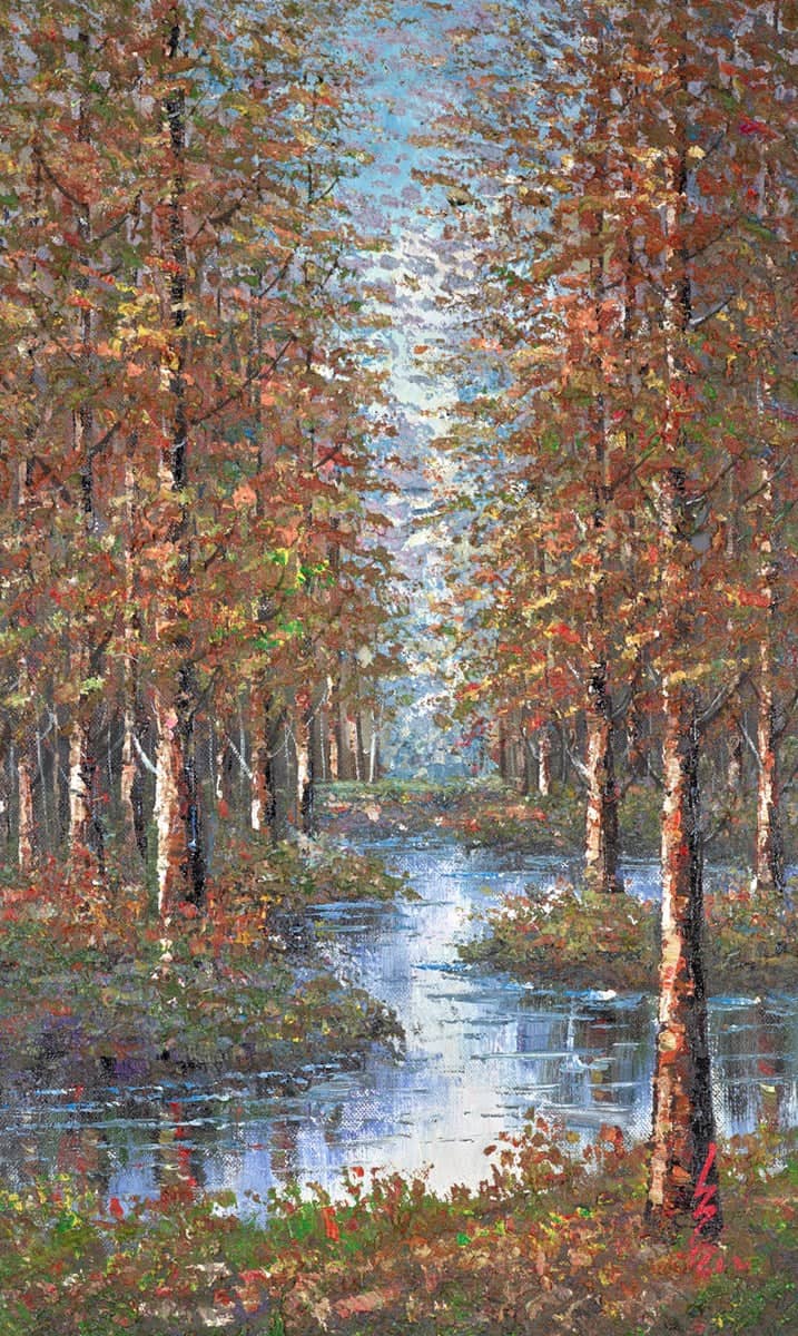 Stream Through The Forest