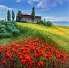 La Casa tra I Fiori