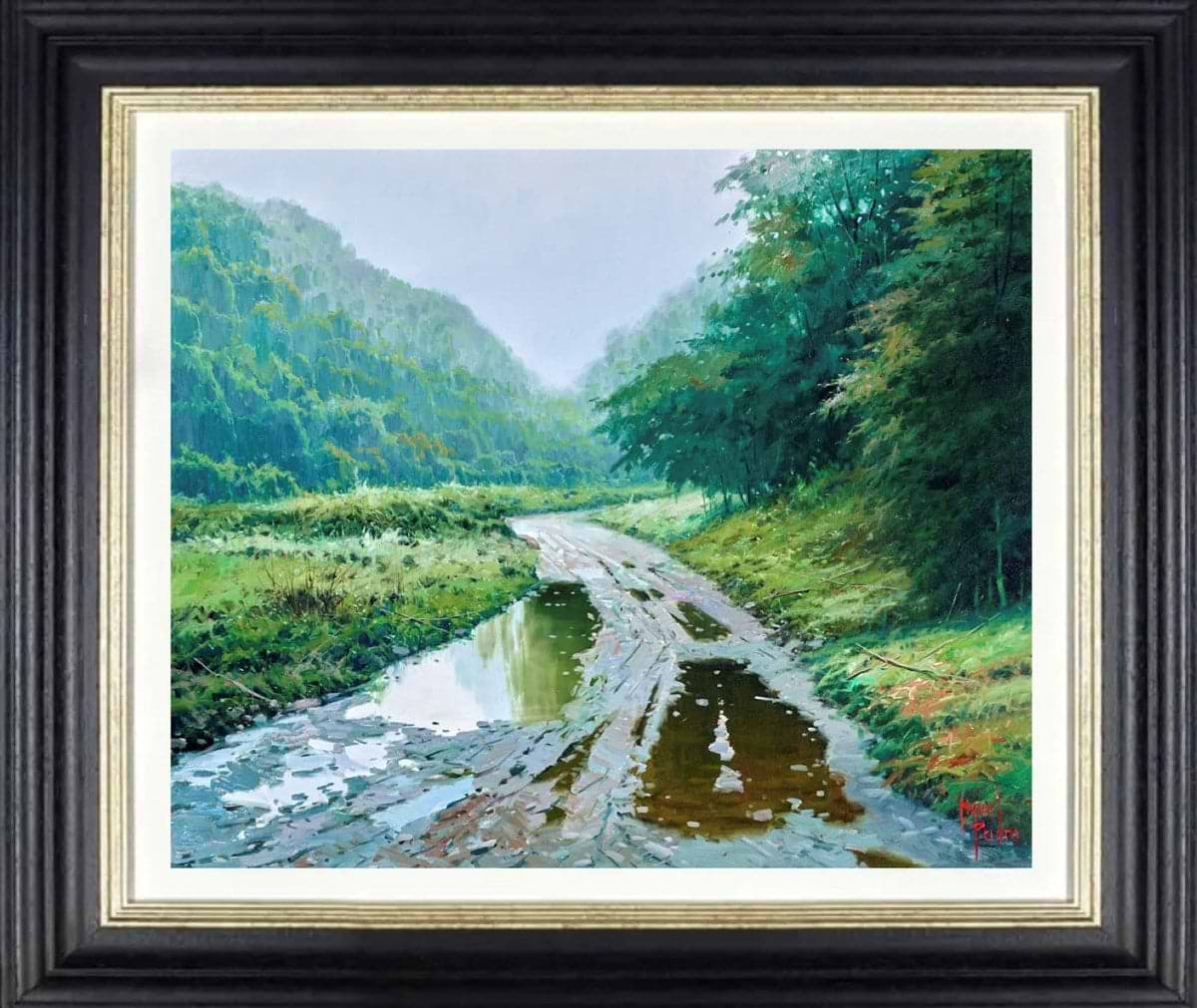 Lluvia En El Valle De Baztan