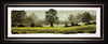 Buttercups (study) (Framed)