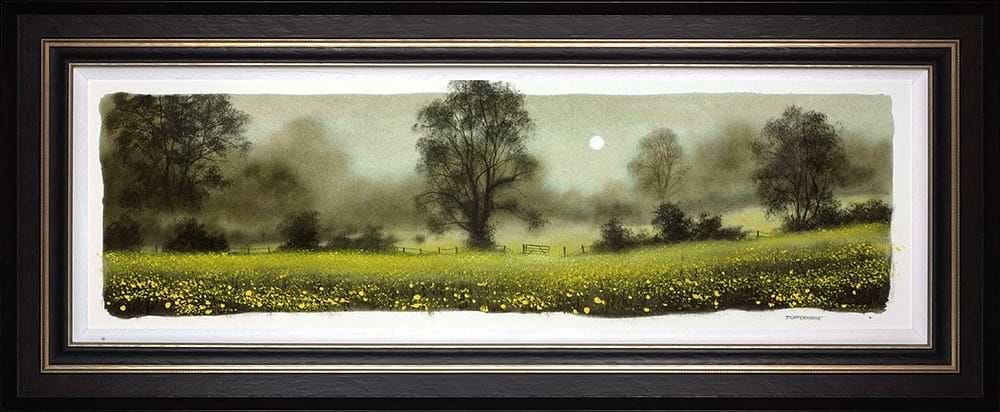 Buttercups (Study)