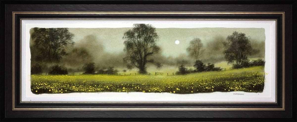 Buttercups (Study)