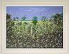 Idyllic Spring IV (Framed)