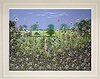 Idyllic Spring IV (Framed)