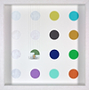 Scrubbed Out - Spots 16