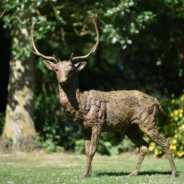 Fallow Buck Standing - 2018