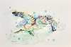 Ocean Drifter