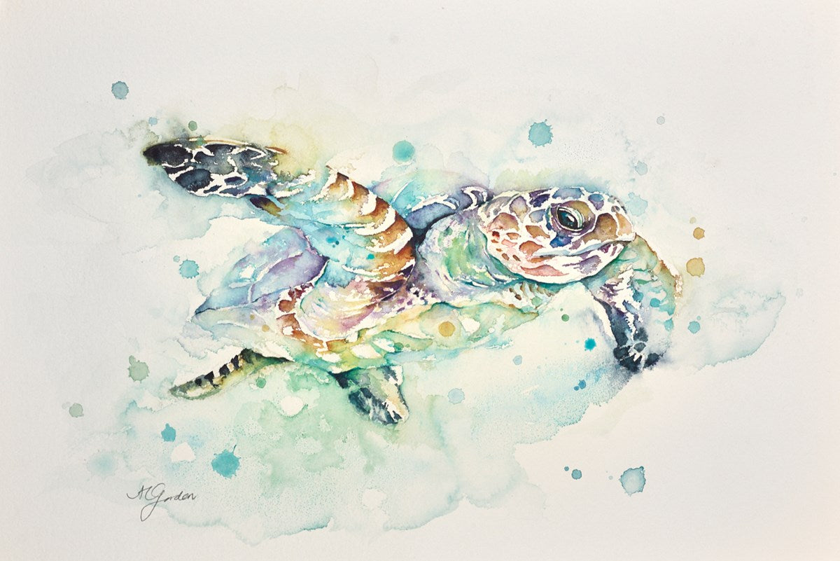 Ocean Drifter