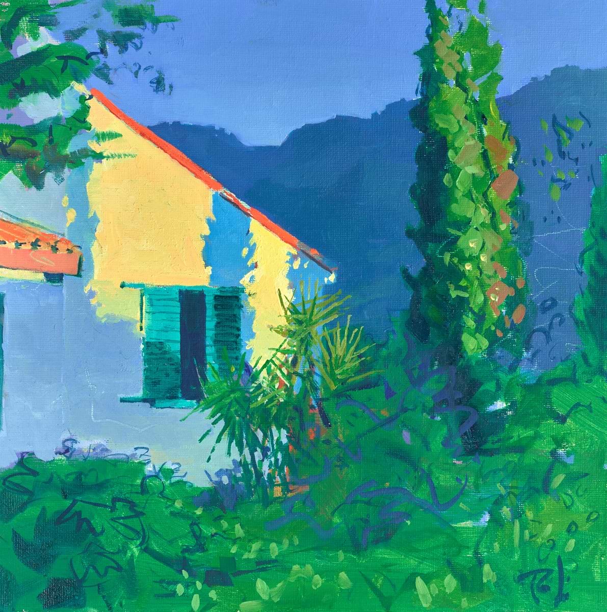 Evening Shadows