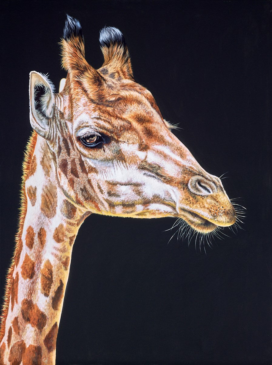 Sleepy Giraffe