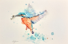Successful Hunter- Kingfisher