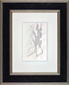 Bedroom Shadows (Framed)
